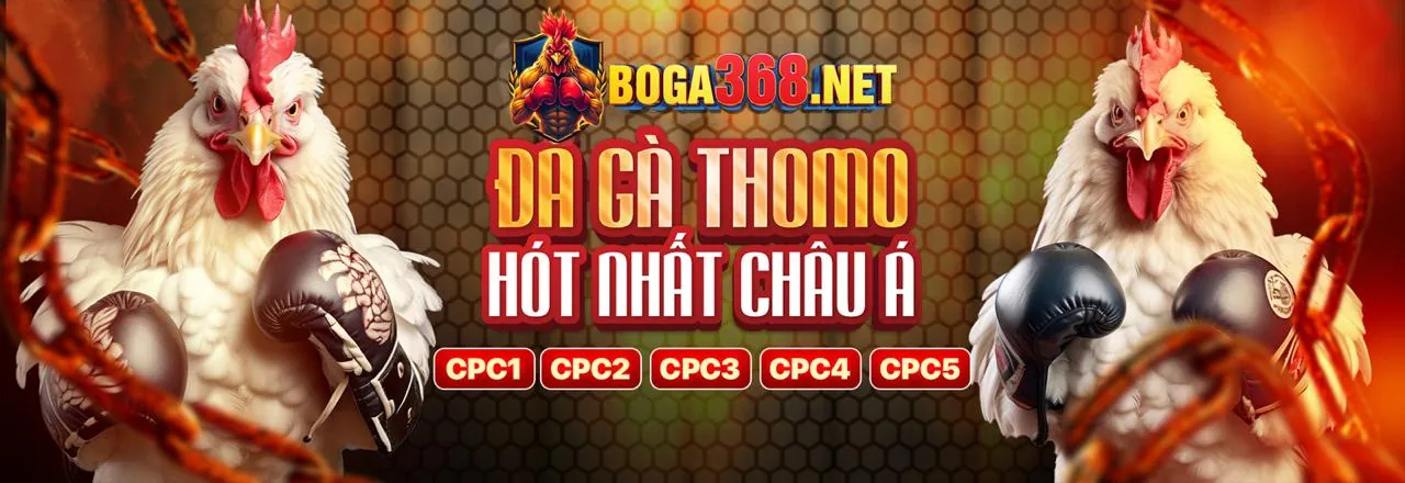 Các tính năng nổi bật của Q8BET APP
