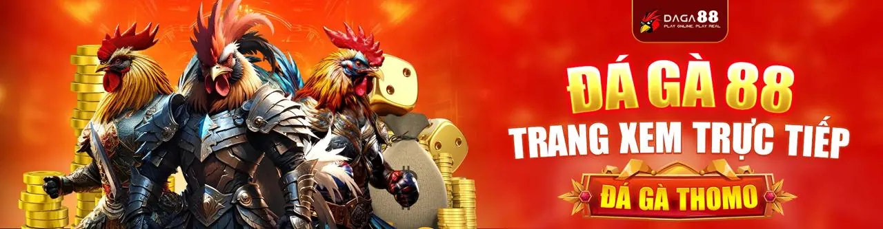Tính năng cá cược trực tiếp (Live Betting) trên Q8BET APP