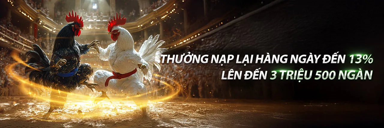 Cá cược thể thao trực tuyến tại Q8BET APP